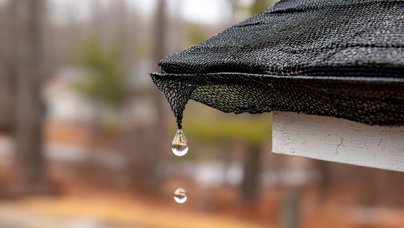 Increase Your Gutter Covers Service Business with an AI Driven, Targeted Website